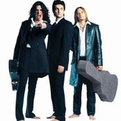 Jaguares - List pictures