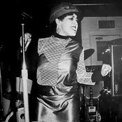 Poly Styrene - List pictures
