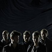 Nephew - List pictures