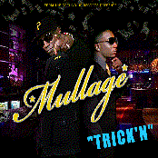 Mullage - List pictures