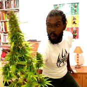 Spectacular - List pictures