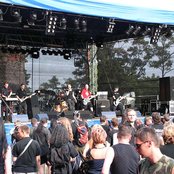 Delight - List pictures