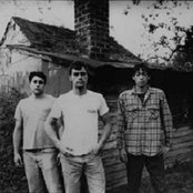 Polvo - List pictures