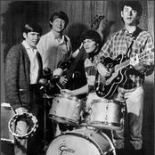 Monkeys - List pictures