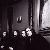 Black Light Burns - List pictures