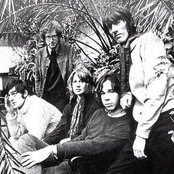 Affinity - List pictures