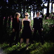 Belleruche - List pictures