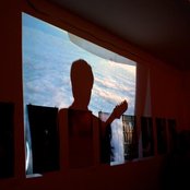 Fauve - List pictures