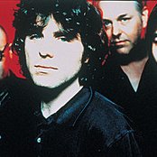 Witness Uk - List pictures