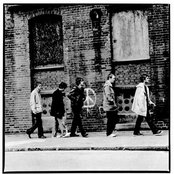 The Verve - List pictures