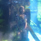 White Hinterland - List pictures