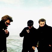 Doves - List pictures