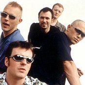 Apollo 440 - List pictures