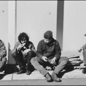 Felice Brothers - List pictures