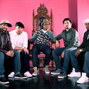 Bad Rabbits - List pictures