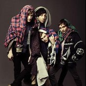 Grizzly Bear - List pictures