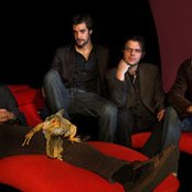 Quassar - List pictures