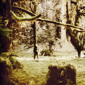 Wolves In The Throne Room - List pictures