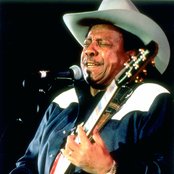 Lonnie Brooks - List pictures