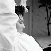 K. D. Lang - List pictures