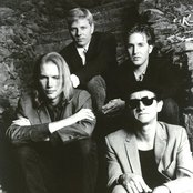 The Dream Syndicate - List pictures