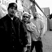 Delinquent Habits - List pictures