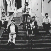 Foals - List pictures
