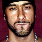 Armand Van Helden - List pictures