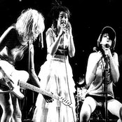 Slits - List pictures