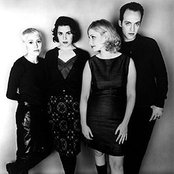 That Dog - List pictures