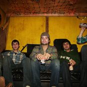 Carbon Tigers - List pictures