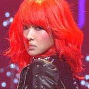 Fat Cat - List pictures