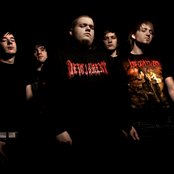 Annotations Of An Autopsy - List pictures