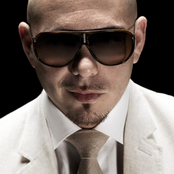 Pitbull - List pictures