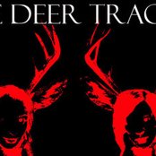 The Deer Tracks - List pictures