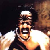 Maxim - List pictures