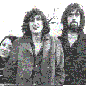 Trees - List pictures