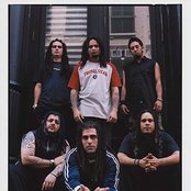 Ill Niño - List pictures