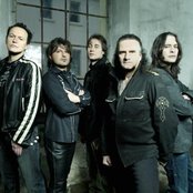 Krokus - List pictures