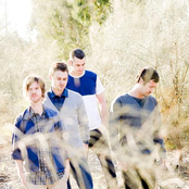 Strange Talk - List pictures