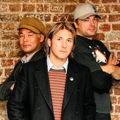 Feeder - List pictures