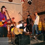 The Amber Herd - List pictures