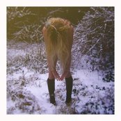 The Golden Filter - List pictures