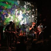 Liblikas - List pictures