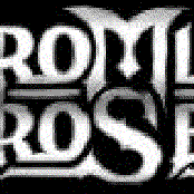 Chroming Rose - List pictures