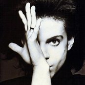 Prince - List pictures