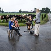 Moddi - List pictures