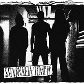 Saturnalia Temple - List pictures