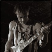 Spider Bags - List pictures