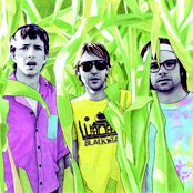 Trans Am - List pictures